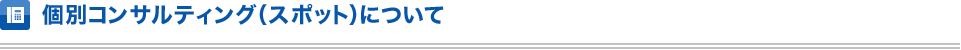 個別コンサルティング（スポット）について